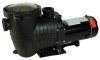 Rx Clear&reg; Extreme Force Dual Speed Above Ground Pump