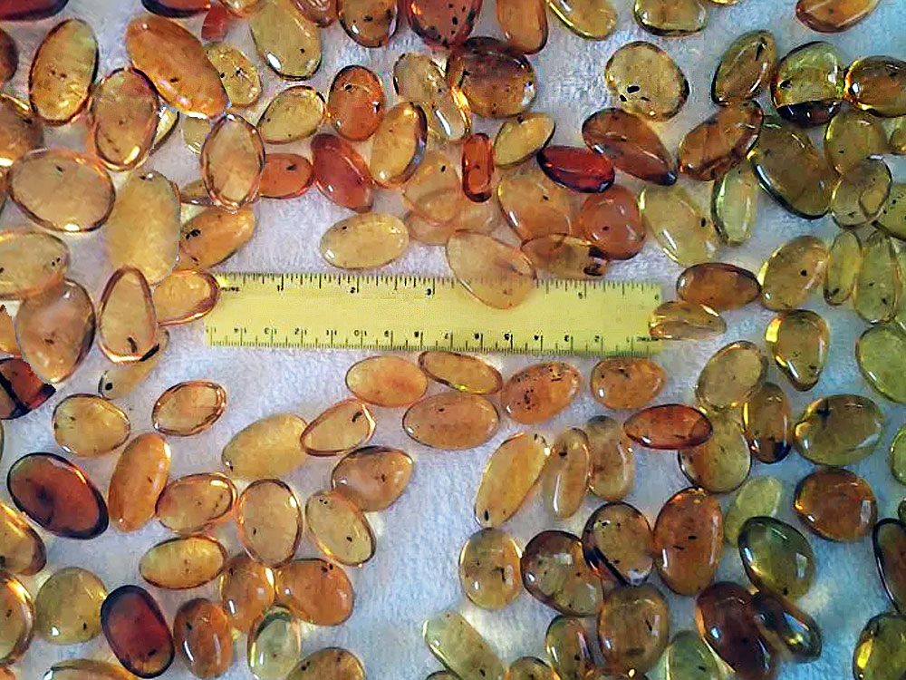 Dominican Amber with Insect Inclusion