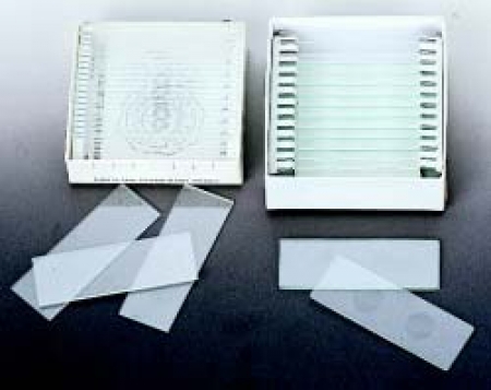 Microscope Slides, Plain, 72 Piece, 1"x3", approx. 1mm Thick (3040001)