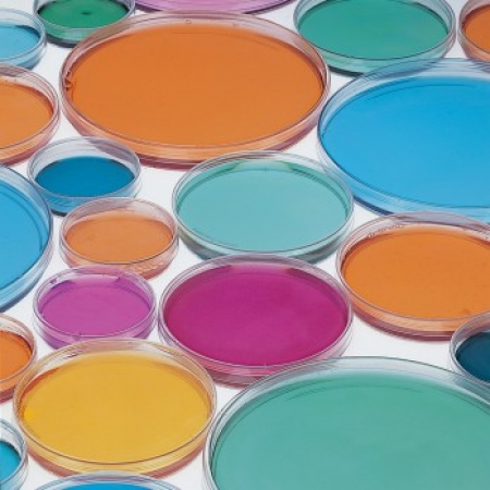 Glass Petri Dishes, 100x107x20mm (Pkg 10) (3081587)