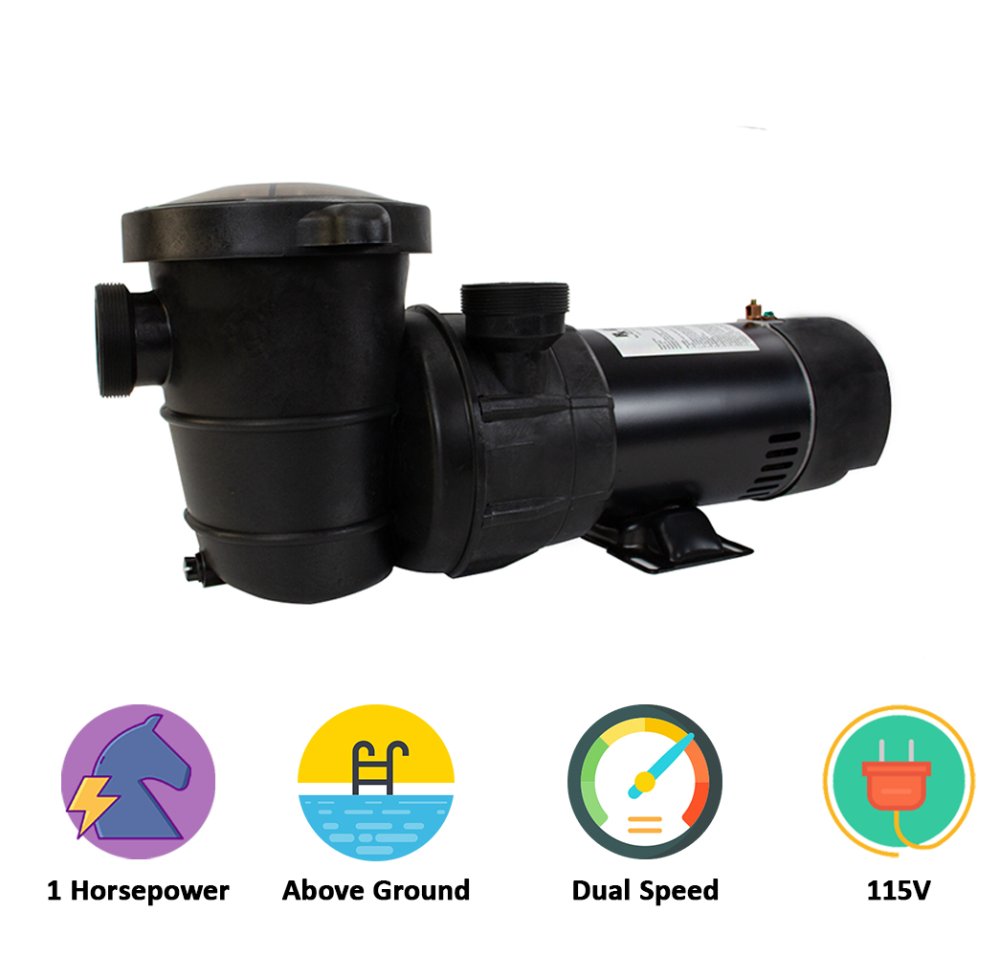 Rx Clear&reg; Extreme Force Dual Speed Above Ground Pump