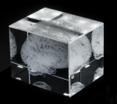 Human Brain -Laser Etched Crystal