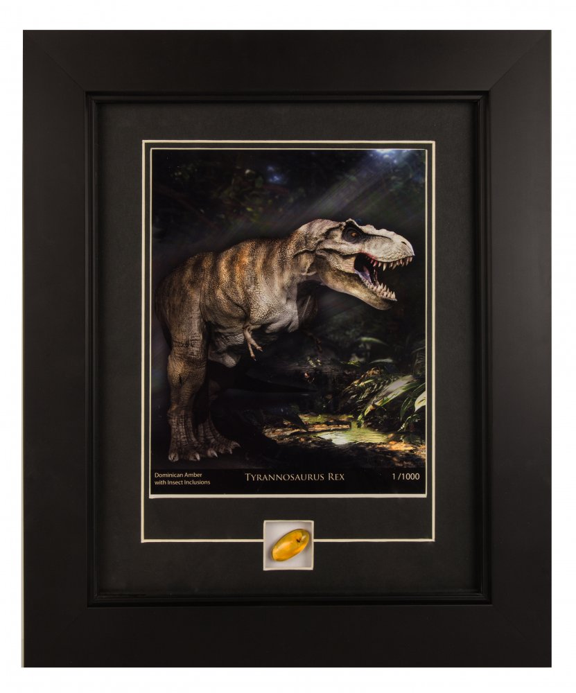 Genuine Dominican Amber (with Insect Inclusion) T-Rex Print