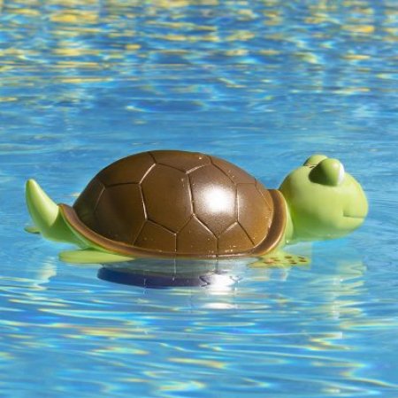 Turtle Swimming Pool & Spa Chlorine Dispenser In Water