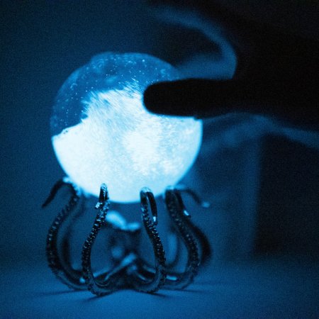 Bioluminescent<BR>Bio-Orb with OctoStand