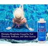Rx Clear&reg; Phosphate Remover - 1 qt.