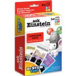 100 1st Grade Language Arts Flash Cards for Ask Einstein