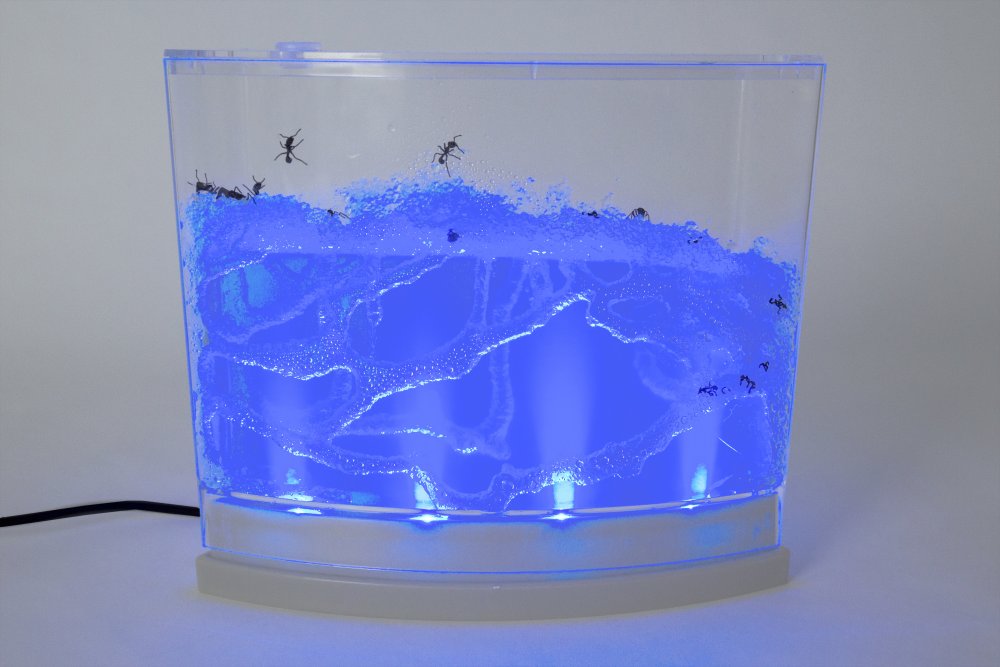 Illuminated Ant Habitat