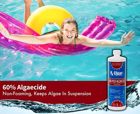 Rx Clear&reg; Swimming Pool Algaecide 60 Plus (Various Quantities)