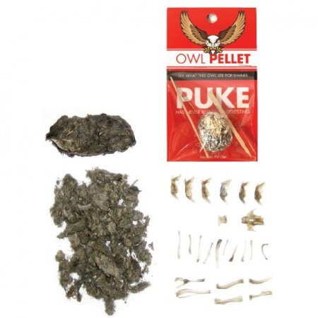 Complete Owl Pellet Lab Kit with 3 Pellets