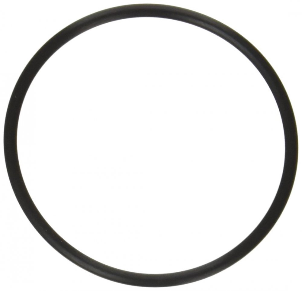 Replacement O-Ring for Waterway™ Plastics