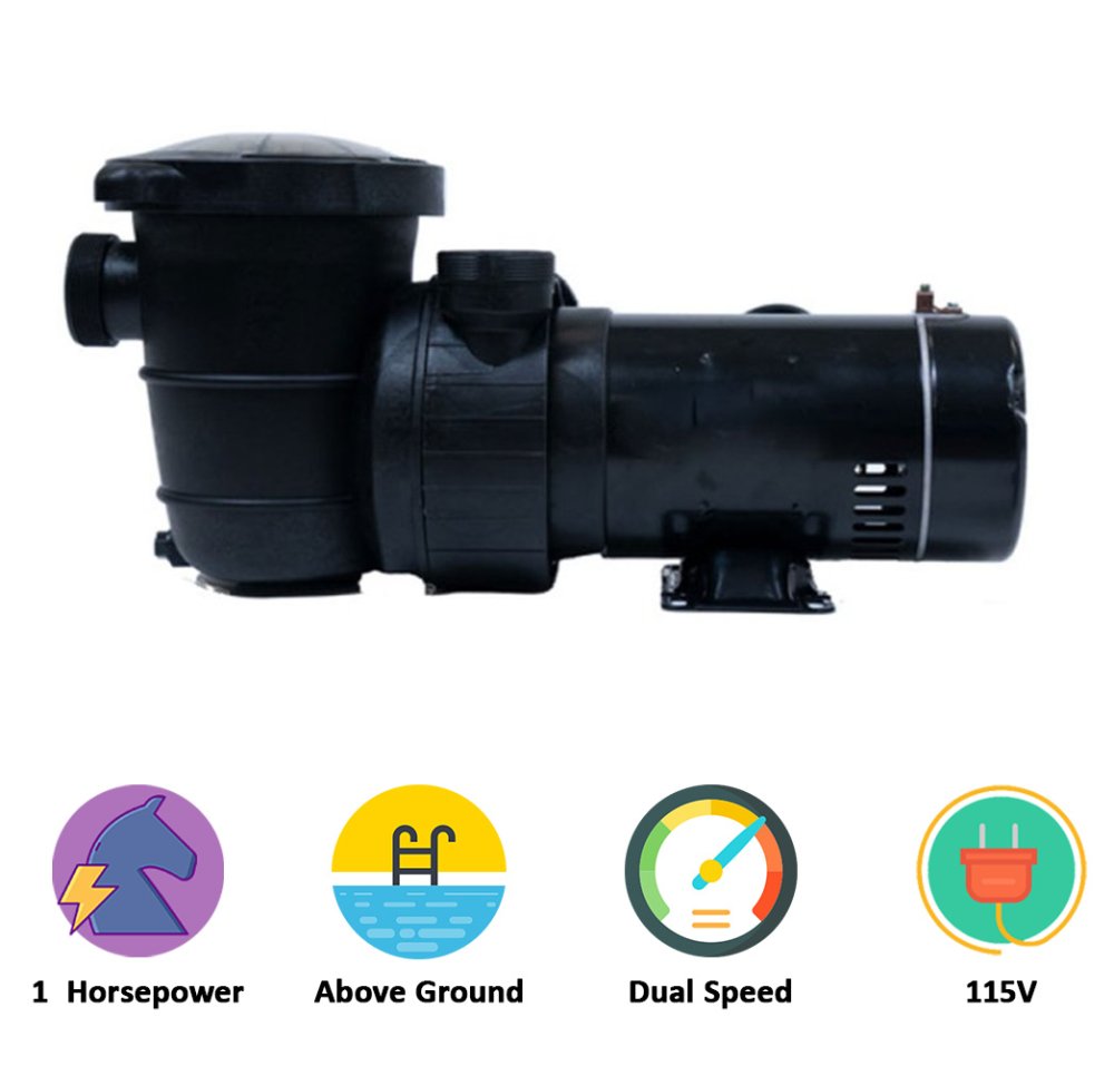 Rx Clear® Maxi Force Dual Port Above Ground Pool Pump (Various HP)