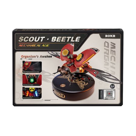 Robotic Beetle Kit