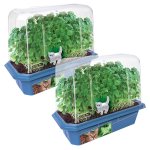 Grow Your Own Catnip<br> 2 Pack