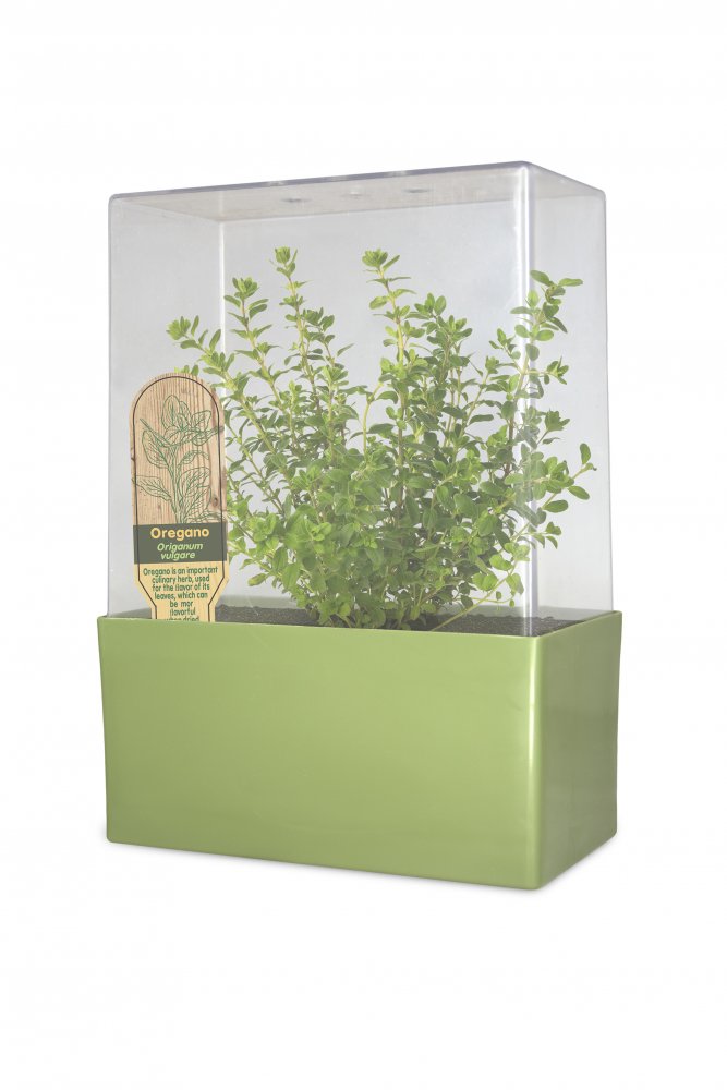 Grow Your Own Deluxe<BR>Herb Garden
