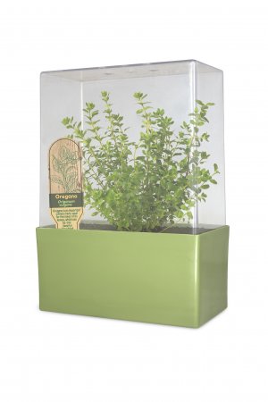 Grow Your Own Deluxe<BR>Herb Garden