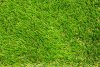 Artificial Synthetic Turf Grass for Indoor or Outdoor Use (Various Sizes)