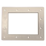 Standard Face Plate for 284112 Rx Clear® I/G Skimmer
