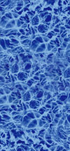 Findlay Vinyl Inground Pool Liner: Blue Diffusion
